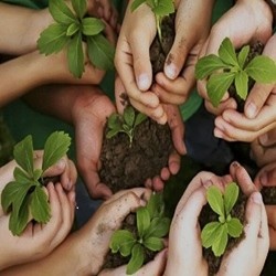 همیار طبیعت**۴۹۱,۶۴۴**نفر