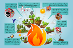 پیشگیری از حریق در جنگل ها و مراتع