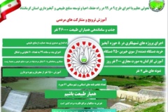 اینفوگرافیک