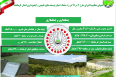 اینفوگرافیک