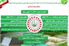 اینفوگرافیک