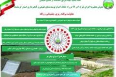 اینفوگرافیک