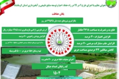 اینفوگرافیک