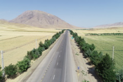 عکس‌های جنگل