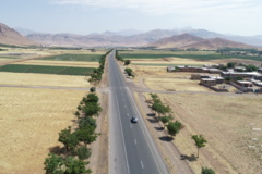 عکس‌های جنگل