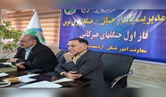 دکتر فخاری : برداشت تنها نیم درصد حجم درختان شکسته و افتاده در جنگل هیرکانی