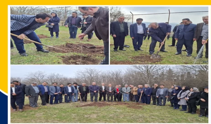 کاشت نهال در حاشیه نشست هم‌اندیشی توسعه کمی و کیفی پارک‌های جنگلی شمال کشور