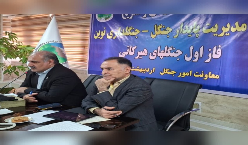 دکتر فخاری : برداشت تنها نیم درصد حجم درختان شکسته و افتاده در جنگل هیرکانی