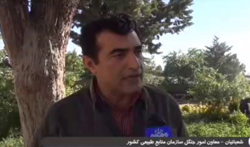 سند احیای جنگل‌های زاگرس تهیه شد