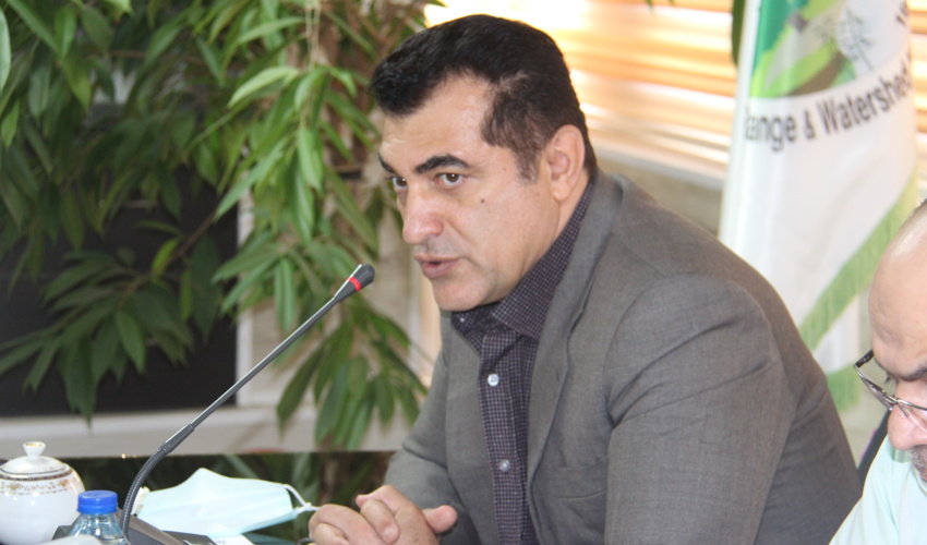 سالانه یک میلیون و 500 هزار مترمکعب چوب به کشور وارد می‌شود