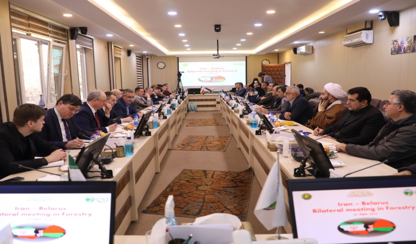 رایزنی ایران برای واردات چوب و نهال از بلاروس