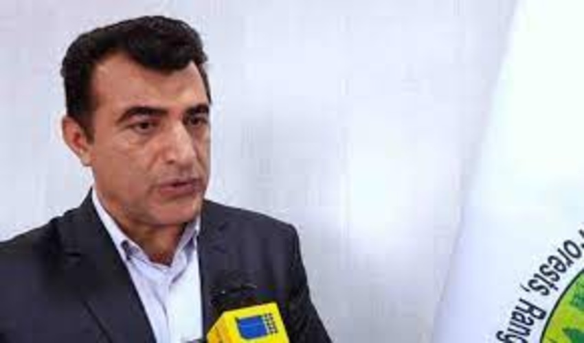 برنامه طرح کاشت یک میلیارد اصله نهال برای «احیای جنگل‌ها»