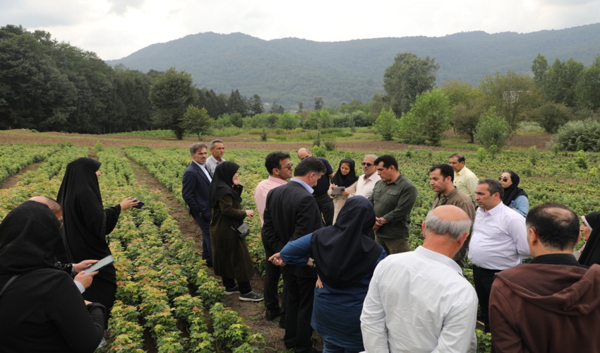       گزارش تصویری/بازدید خبرنگاران از جنگل ها و نهالستان های هیرکانی