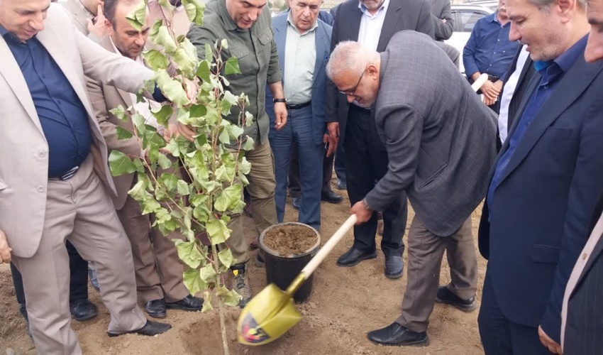  با حضور دکتر نوبخت انجام گرفت؛ آغاز پروژه دو هزار هکتاری زراعت چوب در استان اردبیل