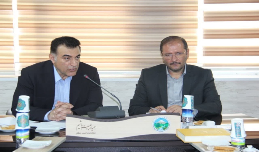 نشست سرپرست سازمان منابع طبیعی درمعاونت امورجنگل ( گزارش تصویری) 