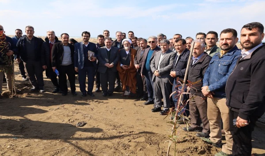کاشت ۲ هزار اصله نهال در ساحل دریای نکا
